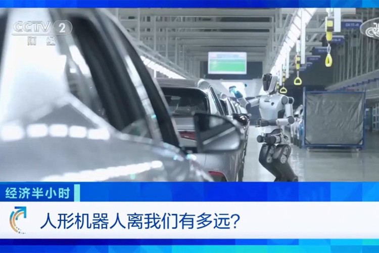 中央电视台《经济半小时》栏目对J9直营集团网站机器人的专题报道